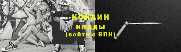 бошки Инта