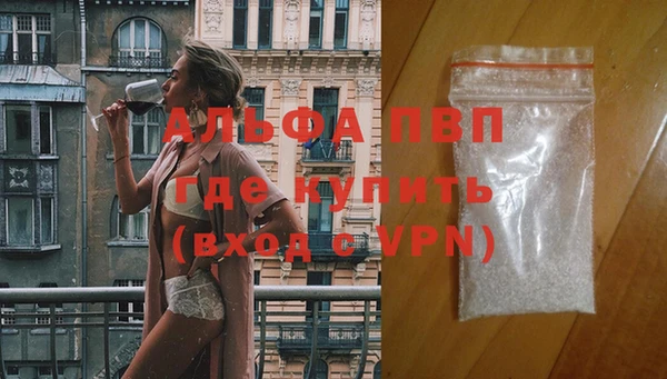 бошки Инта
